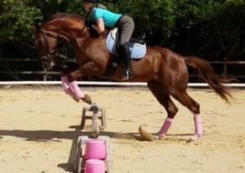 A girl riding a house with all equipments